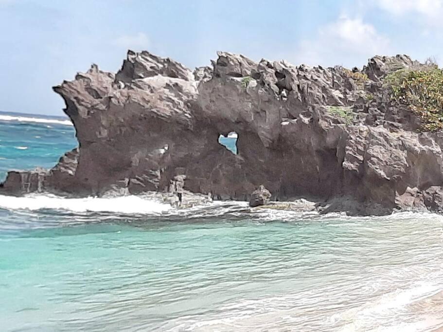 Superbe Studio, A 20 Metres De La Plage, Acces Direct Grande Plage Diamant Le Diamant Exterior foto